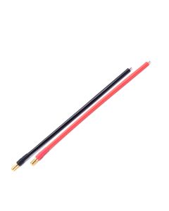 Brushed Motor Leads
